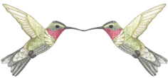 Villa-Colibri-Logo